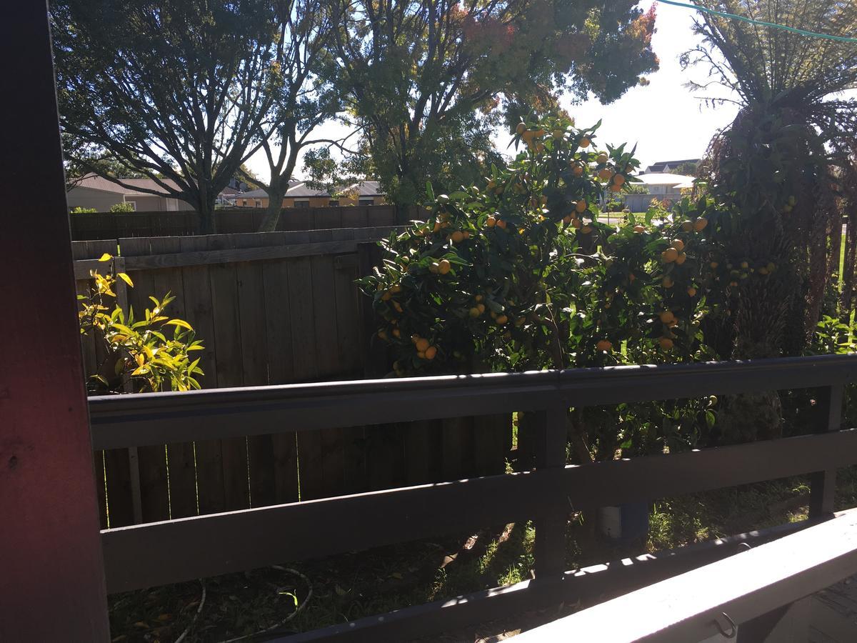 Agapantha Cottage Retreat Hamilton Luaran gambar